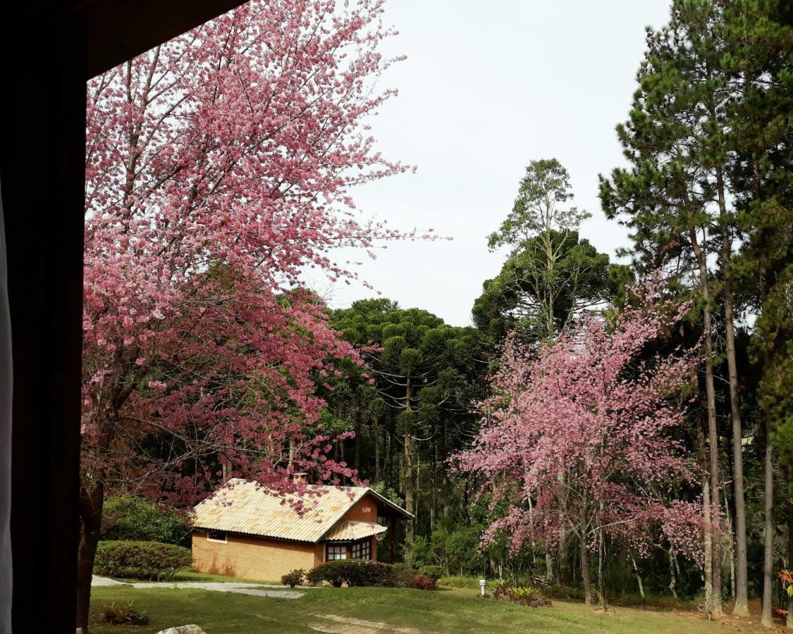 Pousada Candeias Hotel กุนญา ภายนอก รูปภาพ